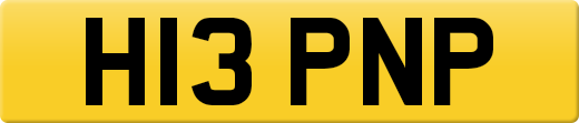 H13PNP